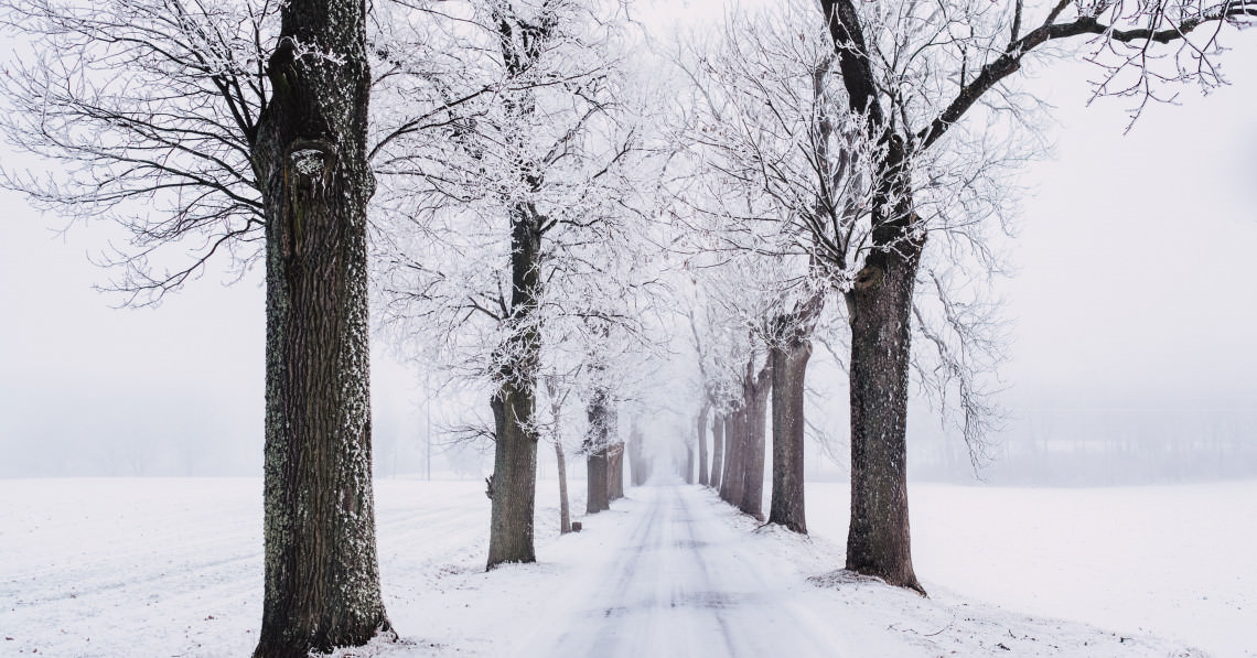 Preparing your entrance door for winter | Pirnar